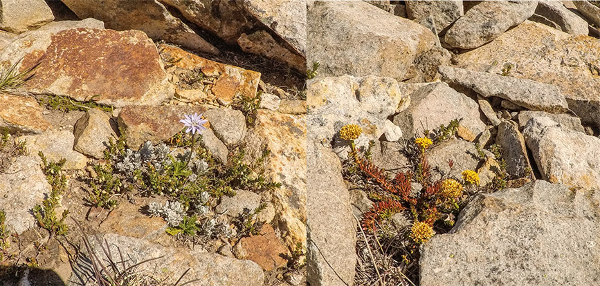 puntanegralucaslopez4